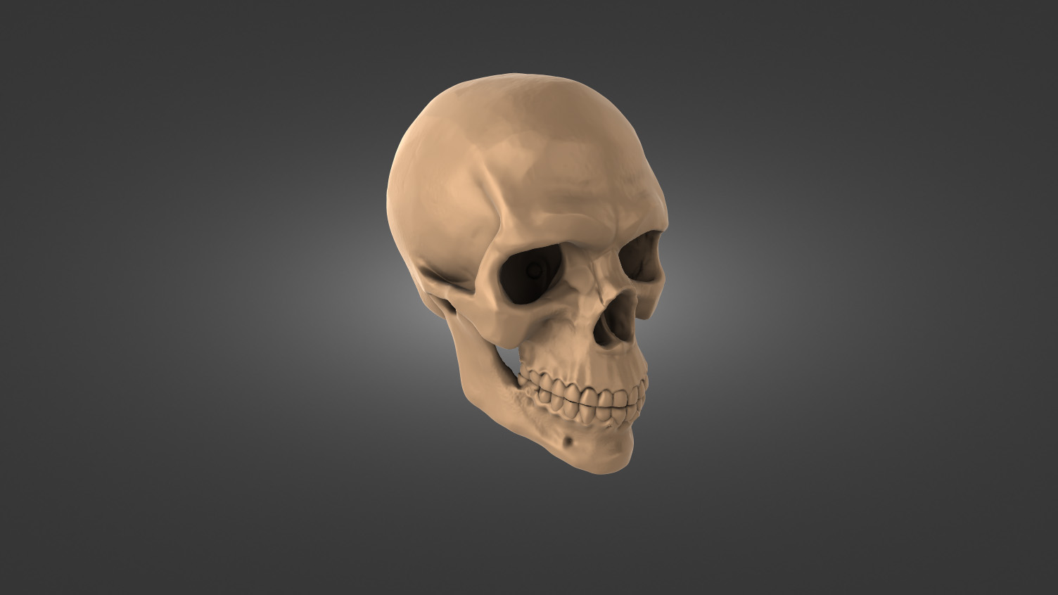 Skull